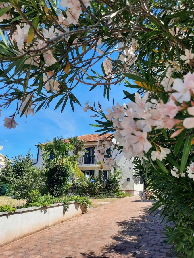 Apartments Palm House Rovinj Exterior photo
