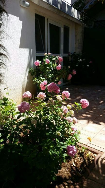 Apartments Palm House Rovinj Exterior photo